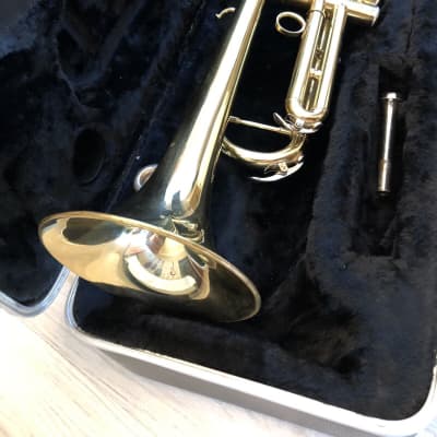 Maxtone Trumpet by French Engineer + Case | Reverb