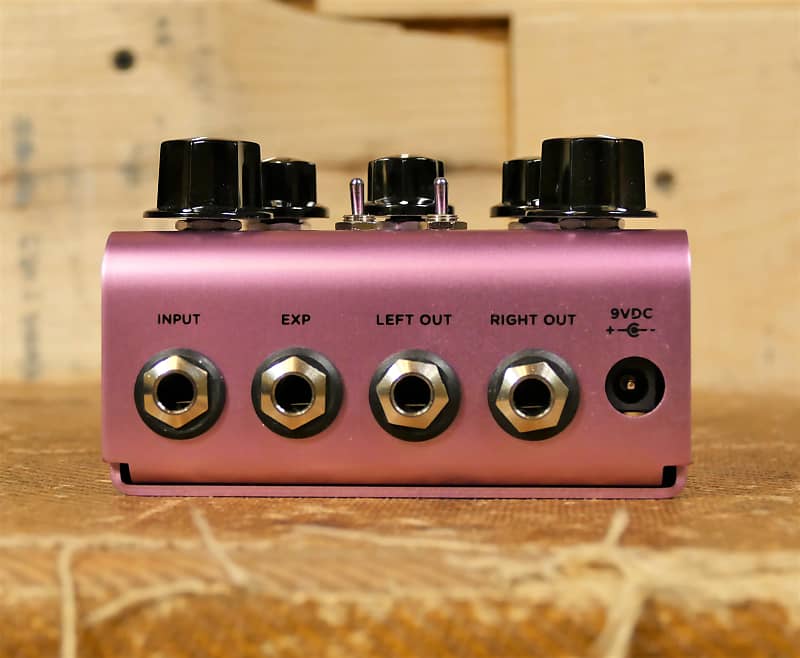 Strymon DIG Dual Digital Delay V1 | Reverb