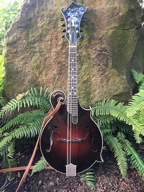 Daley mandolin discount