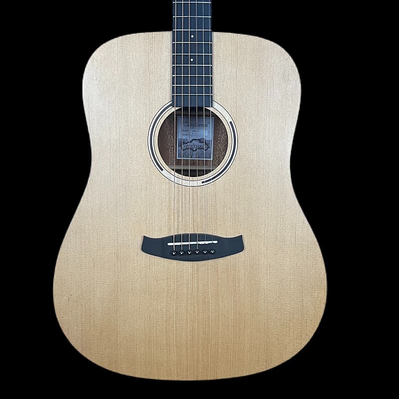 Tanglewood twr20 cheap