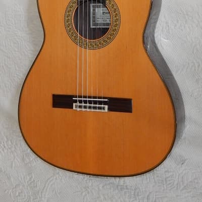 Esteve 7SR  640 short scale classical guitar/all solid wood/cedar top image 2