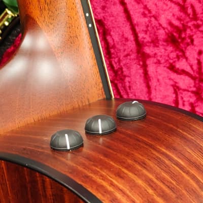 Taylor 324ce Grand Auditorium Mahogany/Blackwood Cutaway Acoustic/Electric with V-Class Bracing image 14