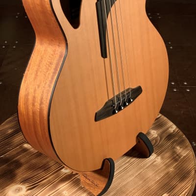 Furch 4-String Acoustic-Electric Bass w/ LR Baggs SPE #84744 image 5