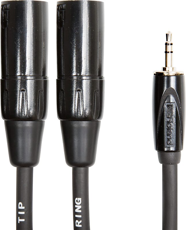 Roland RCC-15-352XM Black Series Balanced Interconnect Cable with 1/8 in. TRS to Two XLR Male - 15 ft. image 1