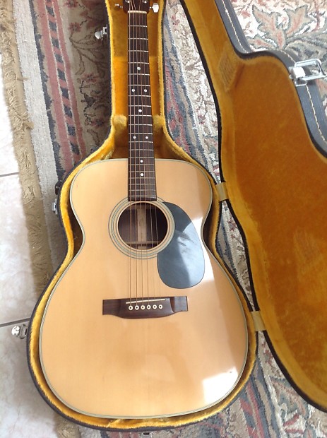 Takamine f310 top