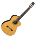 Takamine TH5C Classical Acoustic Electric Guitar in Natural Gloss Finish