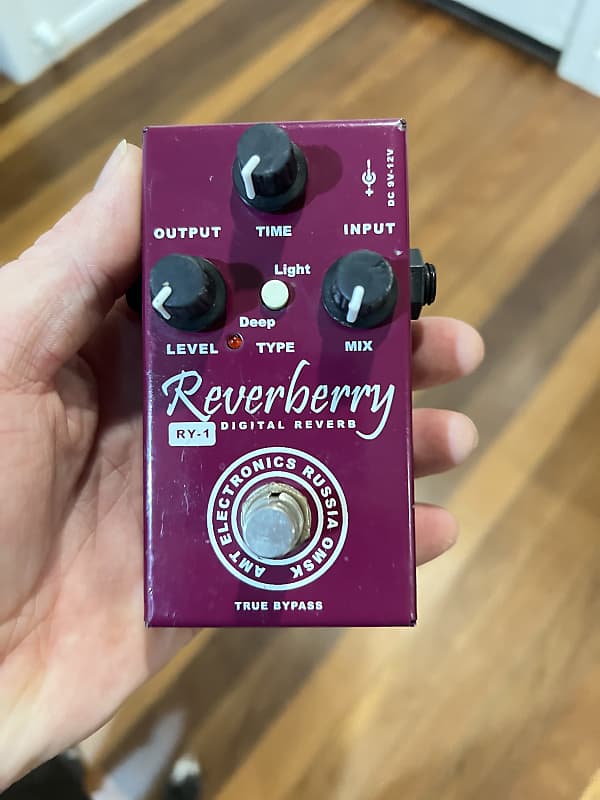 AMT Electronics RY-1 REVERBERRY 2000's image 1