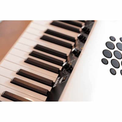 Korg SV2S-88 Piano numérique SV2S-88 image 6