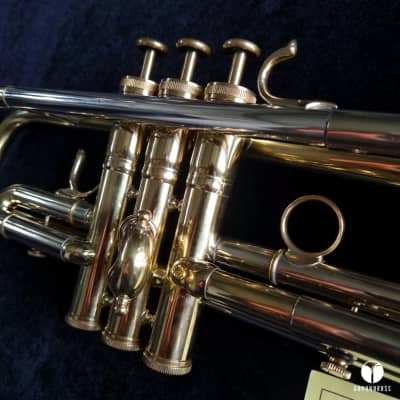 D. Calicchio 1s7 ML Sterling Silver leadpipe trumpet case gamonbrass image 5