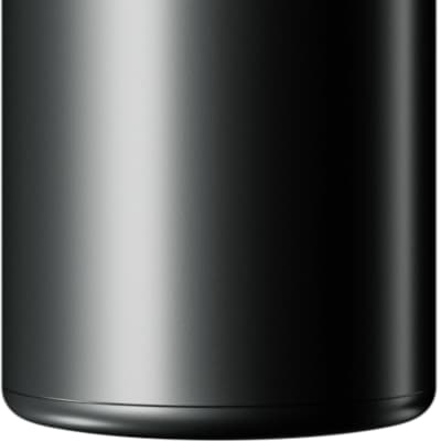 Warm Audio WA-8000 Large Diaphragm Tube Condenser Microphone, Black w/ Hard Case image 2