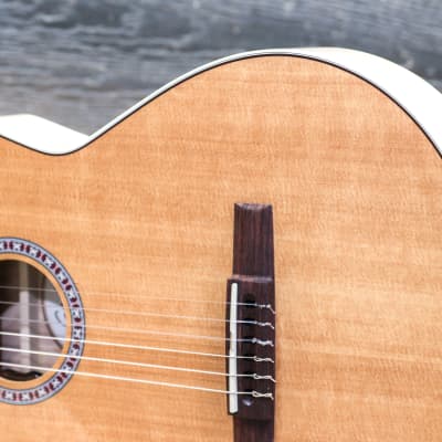 Godin Arena Flame Maple CW EQ "B-Stock" LR Baggs Element Thinline Electro-Classical Guitar image 7
