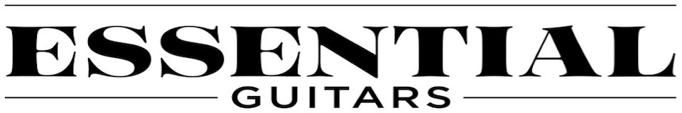 Essential Guitars Inc