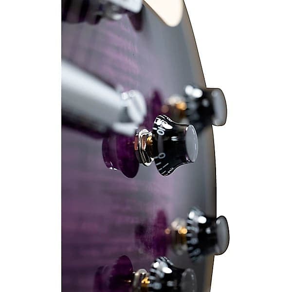 Gibson Les Paul Traditional Pro V AAA Flame Top Electric