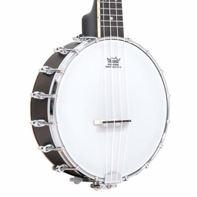Gold Tone BUS: Soprano-Scale Banjo Ukulele with Case image 1