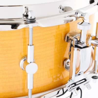 Canopus SSSM-1455SH 1Ply Soft Maple 5.5 x14 WRAP Snare Drum image 5