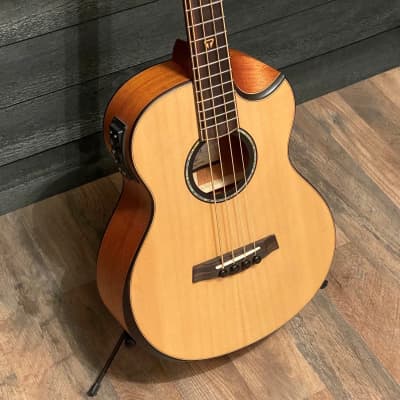 Traveler CL-3BE Acoustic-Electric Bass Guitar w/ Gigbag image 2