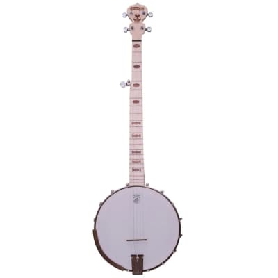 Aria SB-600 Deluxe 5 String Banjo | Reverb