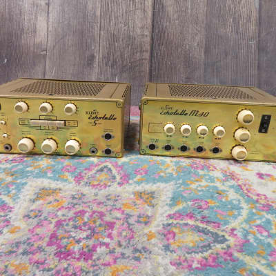 Klemt Echolette M40 Gold and Echolette NG51 S Gold Guitar Amplifier (Cleveland, OH) image 10
