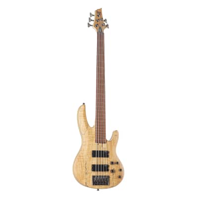 ESP LTD B-205SM-FL 5-String Bass G uitar   - 5-String Electric Bass image 1