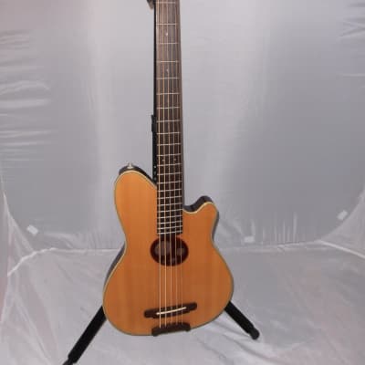 Ibanez TTR 35B 5 string  acoustic bass, nice! image 1