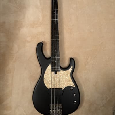 MODULUS GUITARS FLEA BASS (FB4) bass guitars