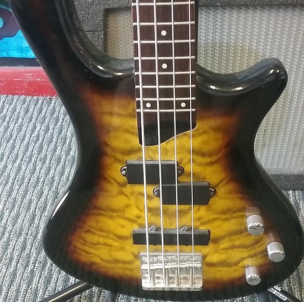 Washburn online taurus t14