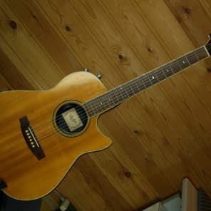 Vester acoustic new arrivals guitar price