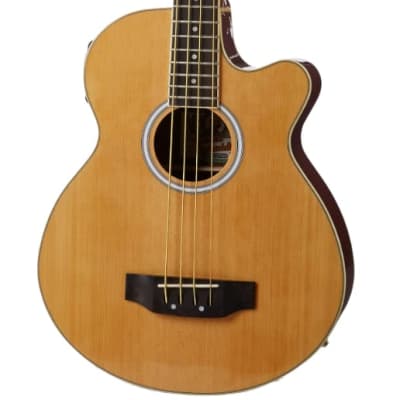 Oscar Schmidt OB100-N Acoustic/Electric Bass 2010s - Natural for sale