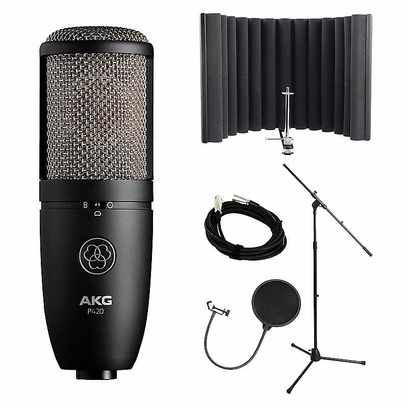 AKG P420 Bundle with sE Electronics RF-X, Pop Filter, Stand