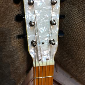 Gretsch G9460 Dixie 6-String Banjo 6-String Banjo image 4