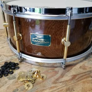 Canopus zelkova hot sale