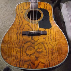 Washburn D11 AN 2006 Mountian Ash Reverb