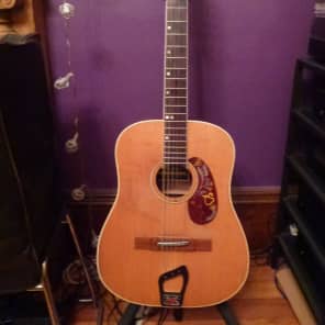 Vintage 1975 Hagstrom H-33 ( BJ-12) 12-string Acoustic Guitar image 1
