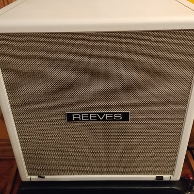 Reeves 4x10 SEALED Bass Cabinet, Logo Padded Cover & Mesa Removable Casters - 3' Cable - Ampeg SVT image 5