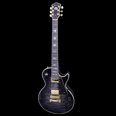 DWG Dan Wolf Guitars Trouble Maker Hard Tail Relic Black (05