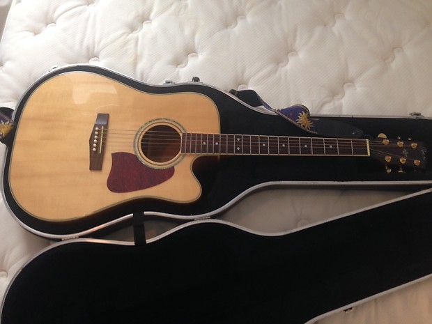 Ibanez shop artwood aw100ce