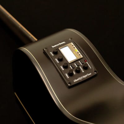 Washburn DFEACE | Deep Forest Auditorium Acoustic / Electric  Guitar. New with Full Warranty! image 8