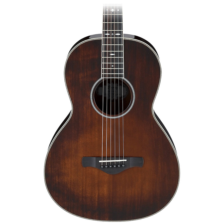Ibanez avn10 store