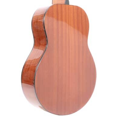Gold Tone TG-10 Mahogany Neck 4-String Acoustic Tenor Guitar with Gig Bag image 3