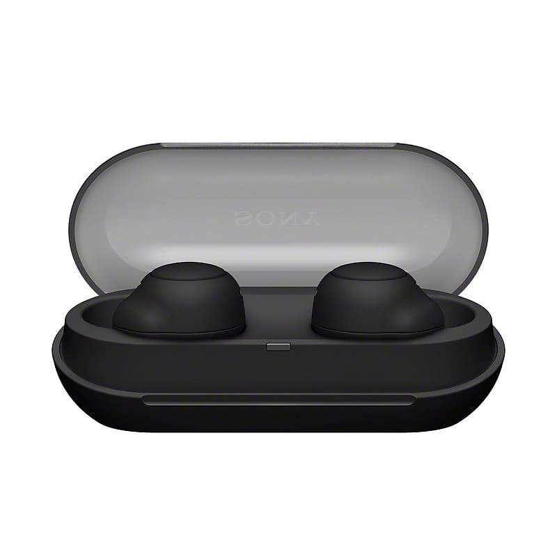 Sony WF-C500 Truly Wireless in-Ear Bluetooth Earbud Headphones (Black)  Bundle with Foam and Silicone Earbud Tips (2 Items)