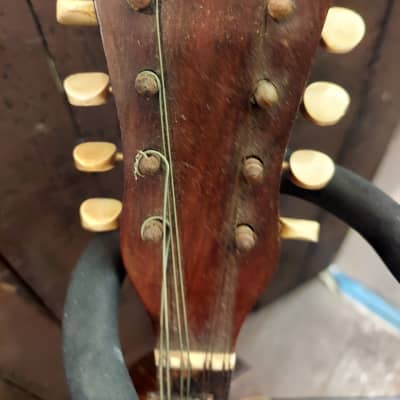 Vintage Rex Professional Bowlback Mandolin | Reverb