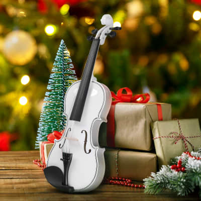 Full Size 4/4 Violin Set for Adults, Beginners, Students with Hard Case, Violin Bow, Shoulder Rest, Rosin, Extra Strings 2020s - White image 16