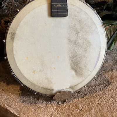 Orpheum No. 1 Mandolin Banjo Project with Original Hard Case image 9