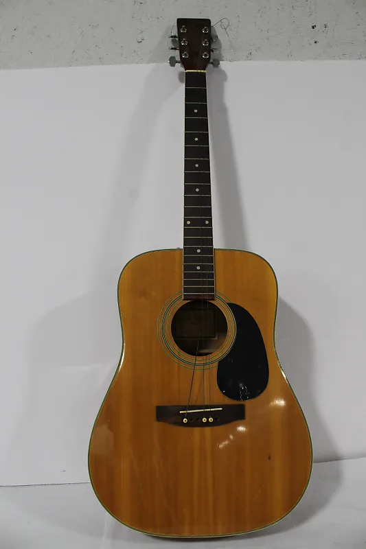Carlo Robelli D-20 Acoustic Guitar | Reverb