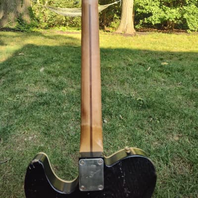 TG Guitars Custom Telecaster The Sleeper Made from Old Growth Wormy Ash from 1880 Barn Beam image 9