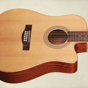 Teton Guitars 12 String Dreadnought Spruce Top Acoustic/Electric Guitar STS100CENT-12 image 1