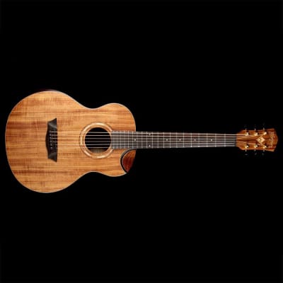Washburn WCGM55K Comfort Series Grand Auditorium Koa Top/Back/Sides Mahogany Neck 6-String Acoustic Guitar w/Gig Bag image 5