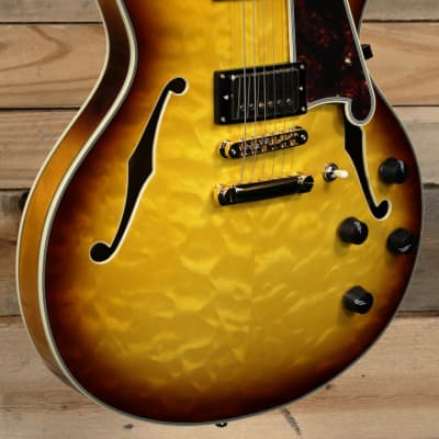 D'Angelico Excel DC XT Hollowbody Guitar Iced Tea Burst w/ Case image 1