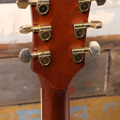 Bozo Model B80S Acoustic With Pickup image 6