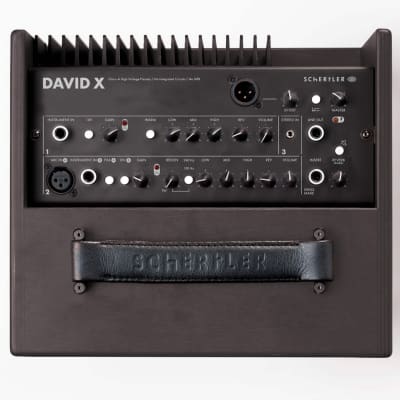 Schertler David X Wood image 2